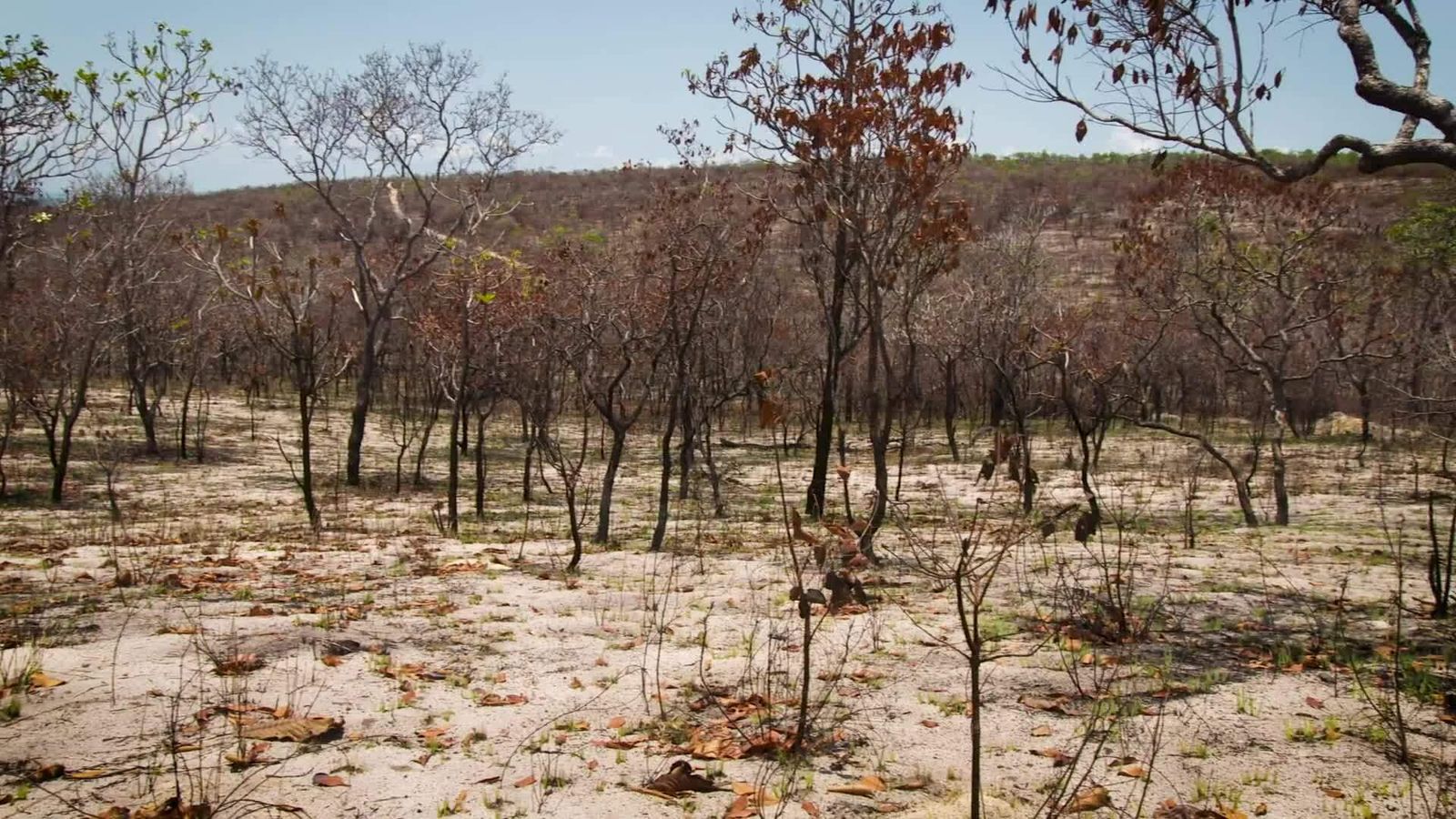 Extreme E's Legacy Programme