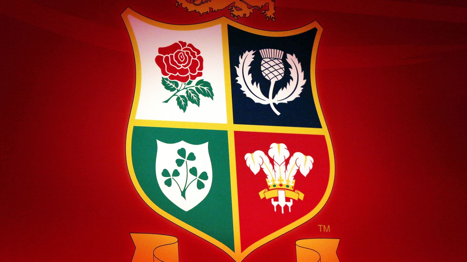 Lions to explore feasibility of women's team