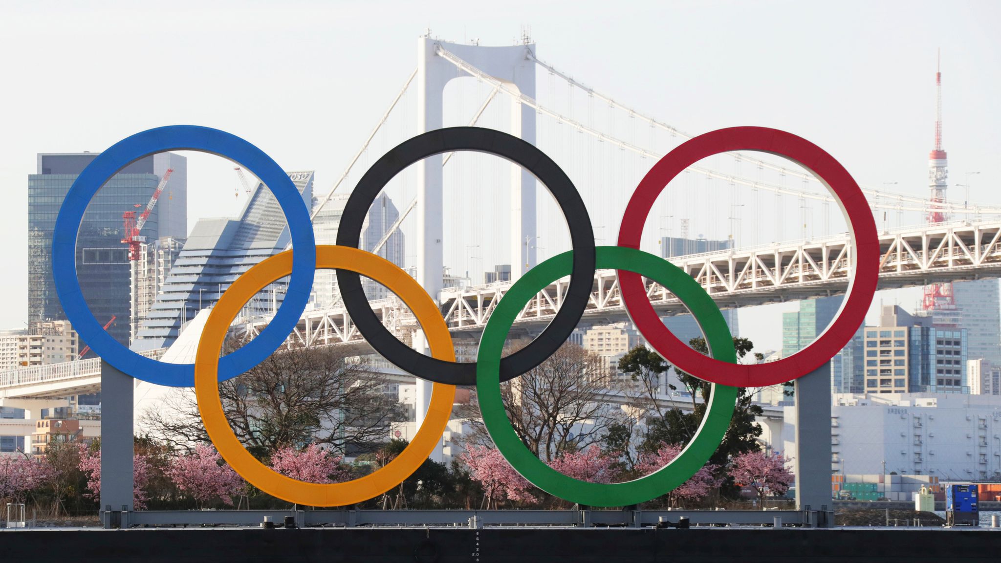 Olympic and Paralympic Winter Games Beijing 2022 - Updates on Spectators,  Vaccination and COVID-19 Countermeasures - Olympic News