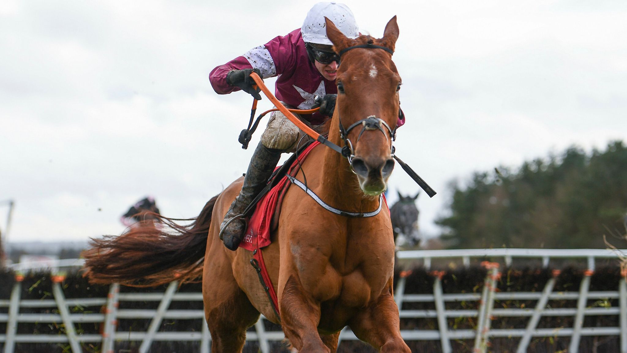 Cheltenham Festival Sky Sports Racing Names 10 Horses To Follow In The Supporting Races Racing News Sky Sports