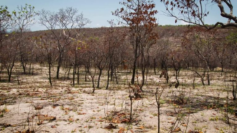 Extreme E's Legacy Programme