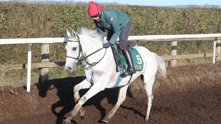 Elimay and jockey Rachel Robins during the visit to Willie Mullins' stables in Closutton,