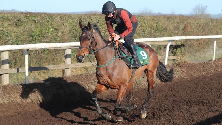 Kilcruit and jockey Patrick Mullins on the gallops during the visit to Willie Mullins' stables in Closutton, Ireland. Picture date: Monday February 12, 2021.
