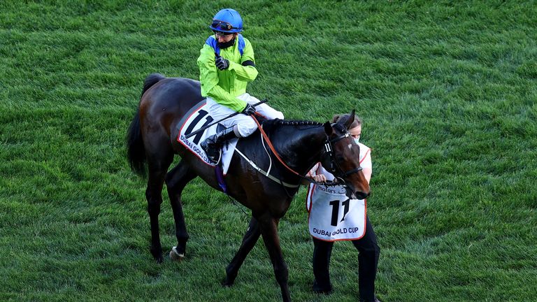 DUBAI, UNITED ARAB EMIRATES - MARCH 27: Joseph Fanning riding sunjectivist  celebrates after winning the Dubai Gold Cup during Dubai World Cup at the Meydan Racecourse on March 27, 2021 in Dubai, United Arab Emirates. (Photo by Francois Nel/Getty Images)