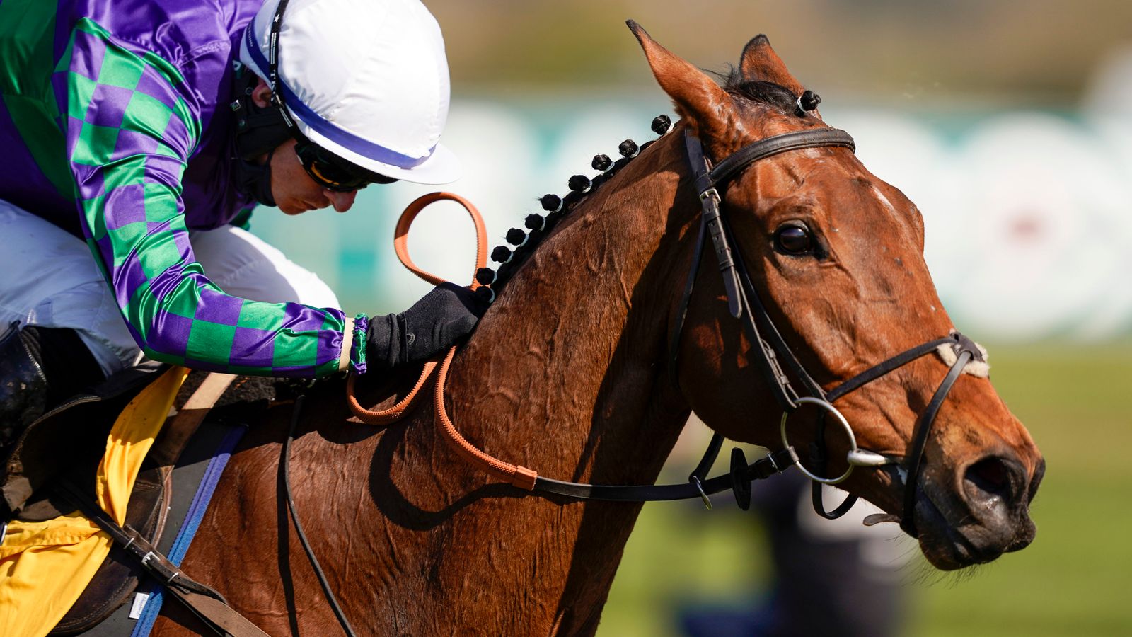 Thyme Hill edges Ryanair Stayers' Hurdle thriller Racing News Sky