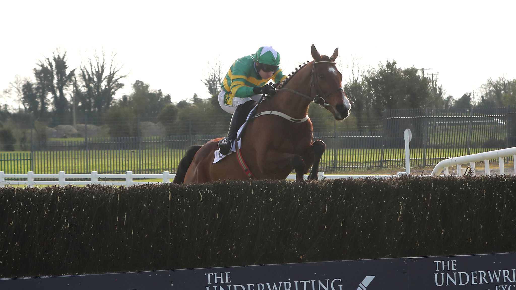 live fairyhouse racing