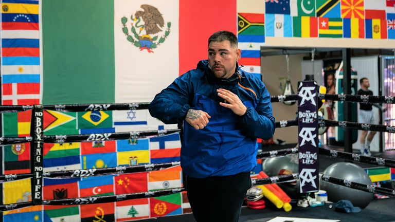 Andy Ruiz Jr 