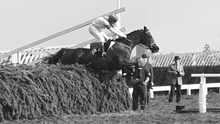 Horse Racing - Grand National Steeplechase - Aintree Racecourse, Liverpool
Aldaniti with Bob Champion in the saddle jumps the last fence to go on to win the Grand National Handicap Steeplechase at Aintree, Liverpool. 4 April 1981