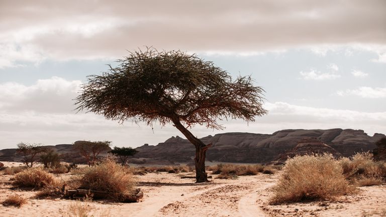 Extreme E: Which venue is the drivers' favourite?