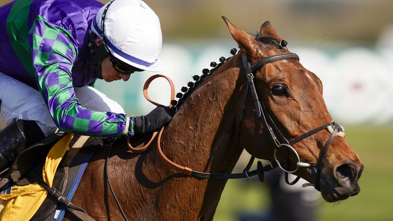 Thyme Hill won the Ryanair Stayers Hurdle at Aintree