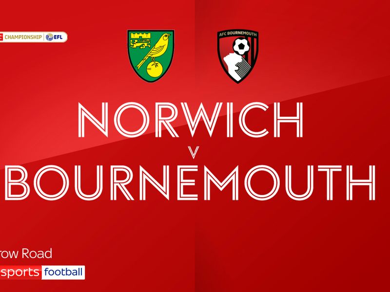 Norwich City vs Bournemouth - Junior Takeover Day - Mascot