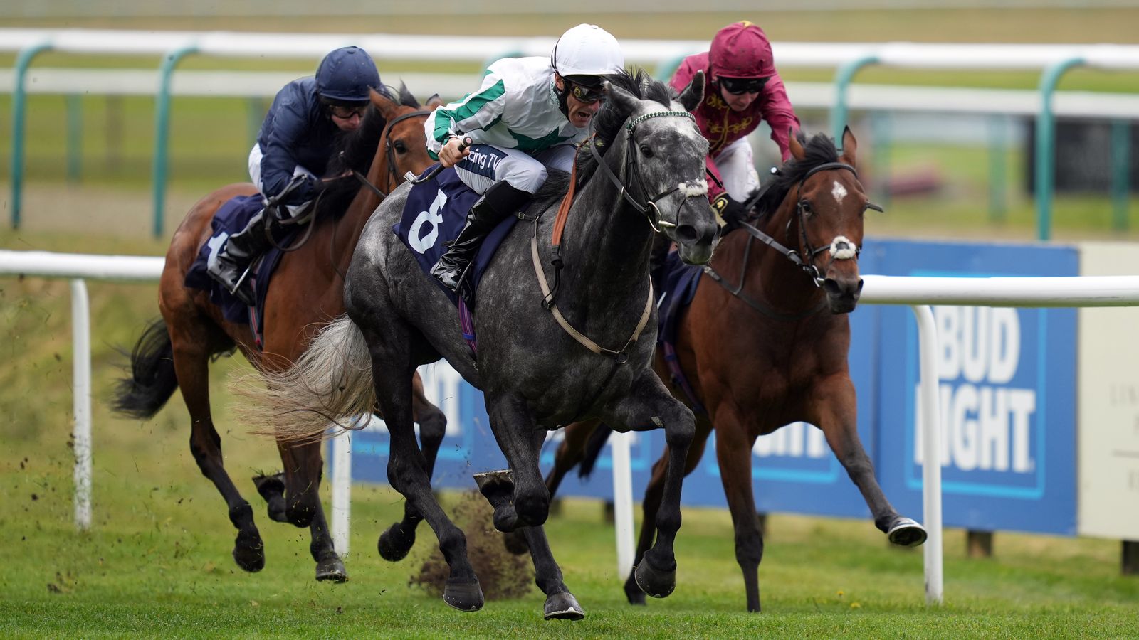 Sherbet Lemon Out To Make Apple Tree Proud Racing News Sportsbeezer