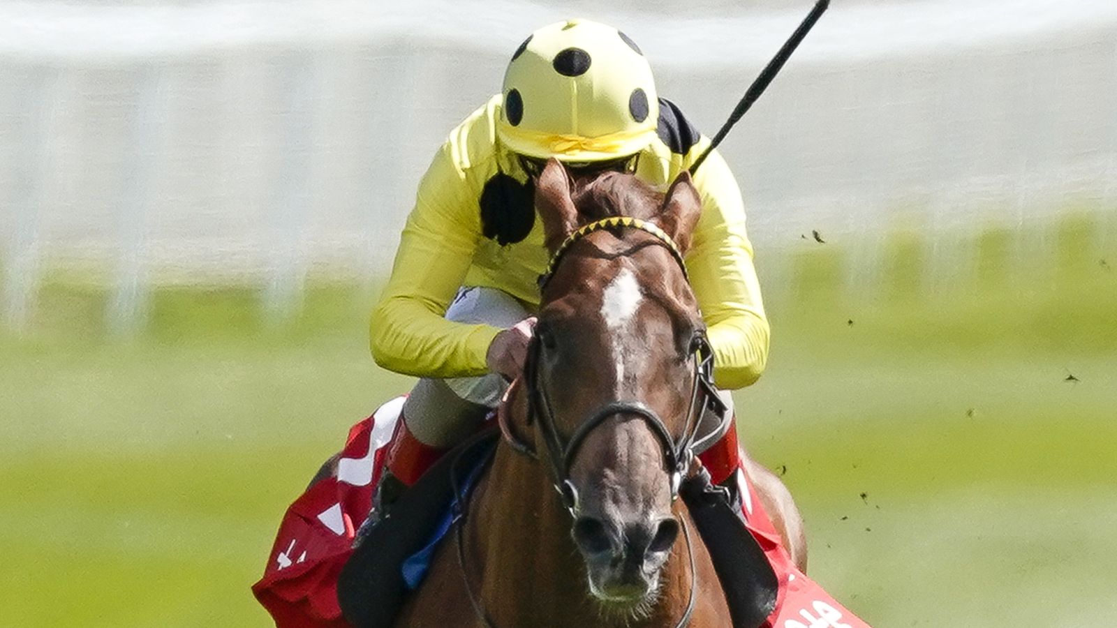 El Drama wins Dee Stakes at Chester for Roger Varian Racing News