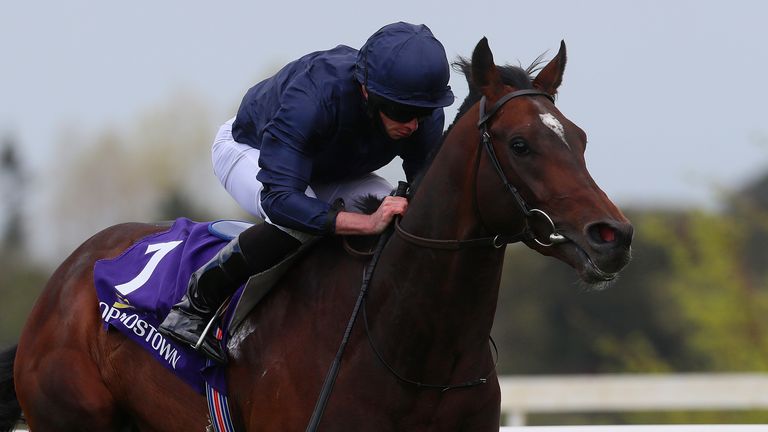 Bolshoi Ballet ridden by Ryan Lee Moore 