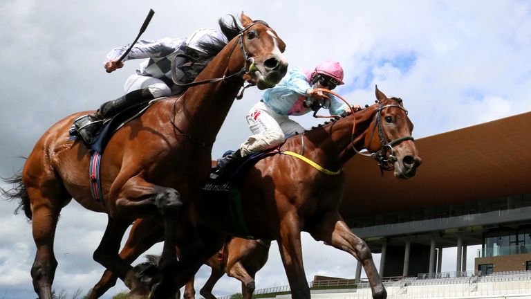 Helvic Dream (right) edges out Broome in the Tattersalls Gold Cup