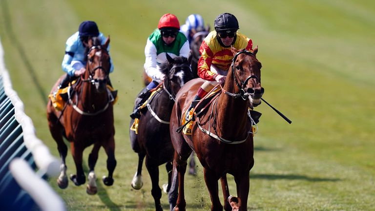 Sir Ron Priestley makes all to win at Newmarket