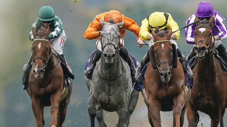 Skalleti (the grey) in action at Ascot
