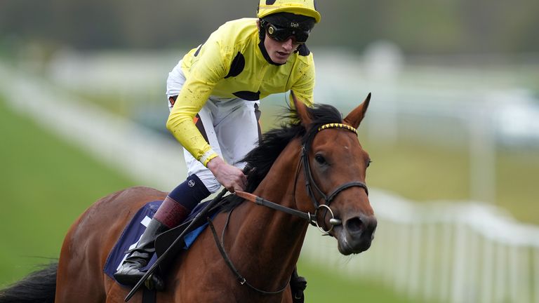 Third Realm wins the Lingfield Derby Trial