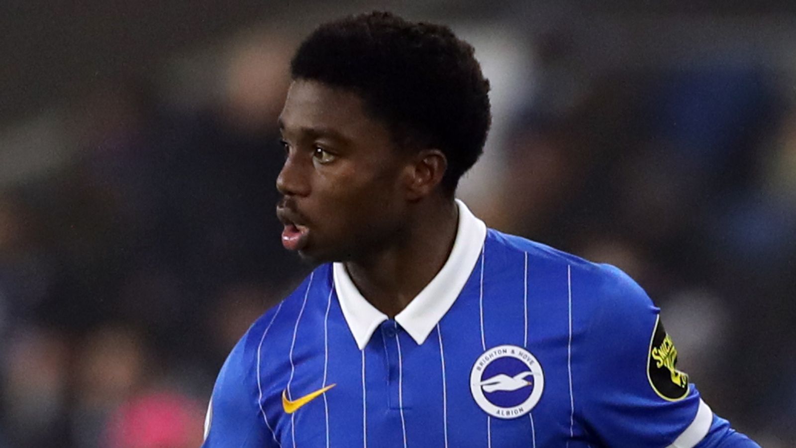 Tariq Lamptey: Tottenham Interested In Signing Brighton Right Wing-back ...