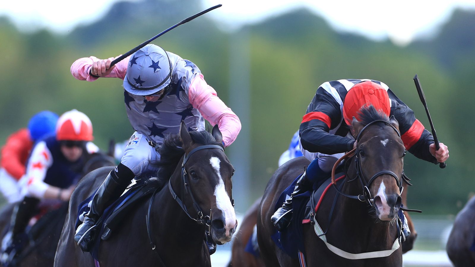 Whip use in racing BHA asks for public opinion as 10week consultation