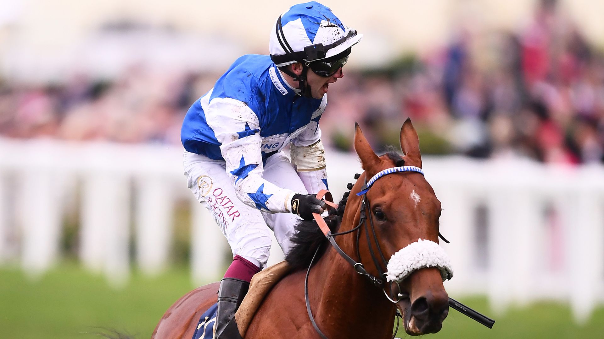 Murphy crowned top jockey as Foxes wins