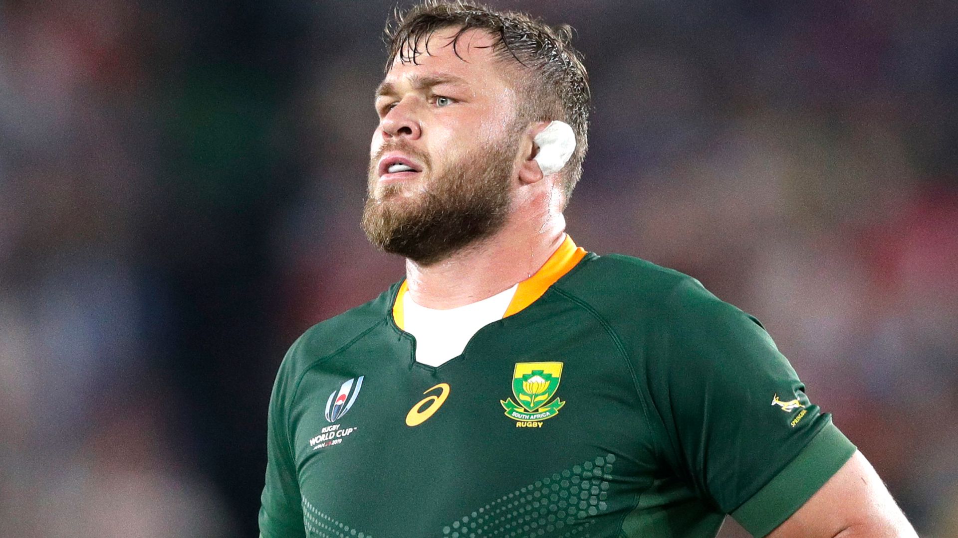 Ulster sign World Cup winner Vermeulen