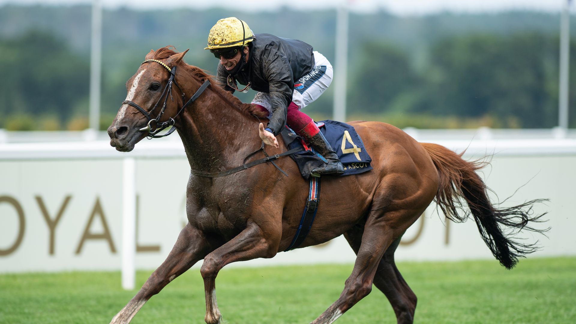 Long Distance Cup: Runner-by-runner guide