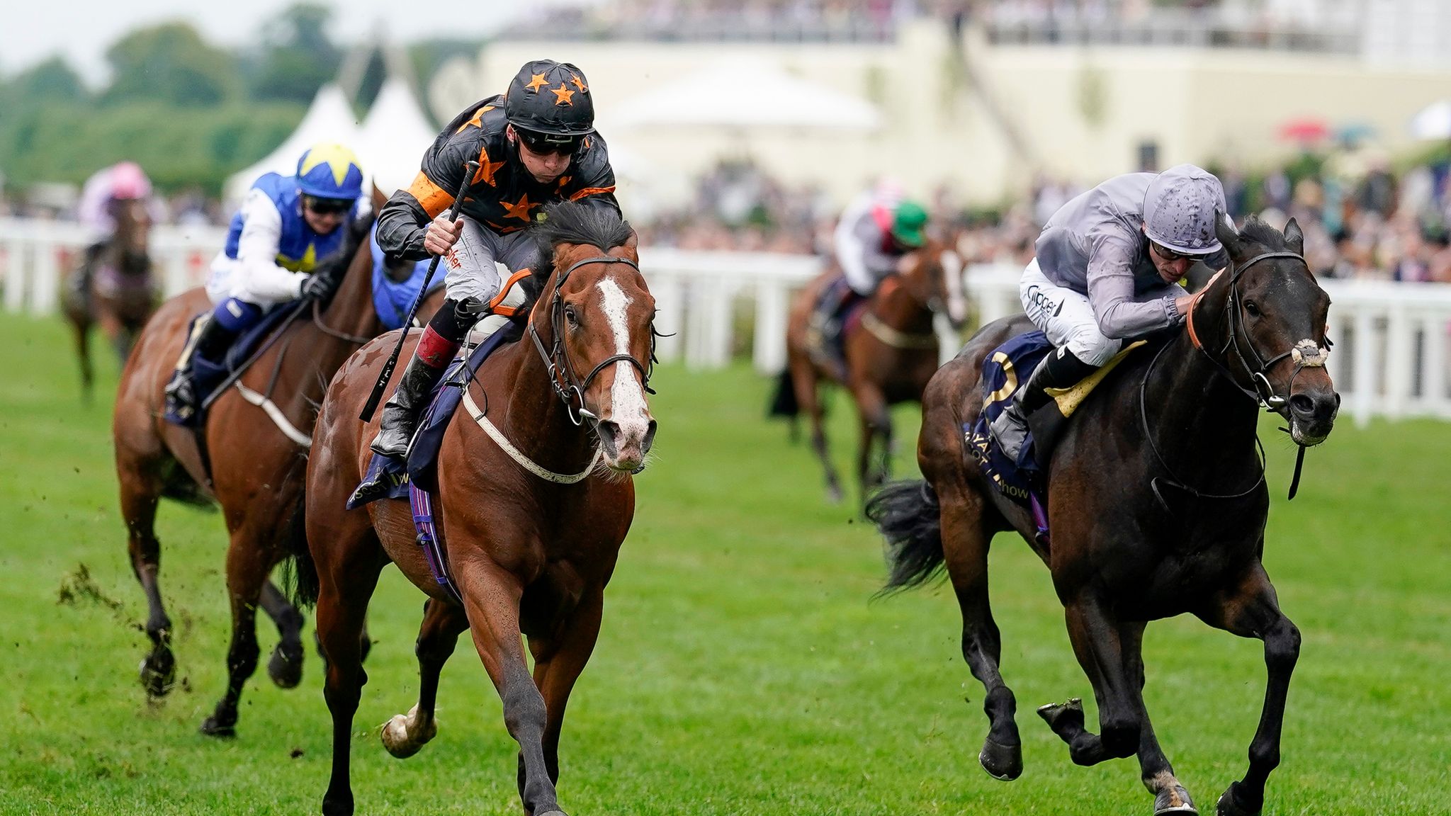 amazing-rohaan-lands-the-wokingham-under-shane-kelly-racing-news