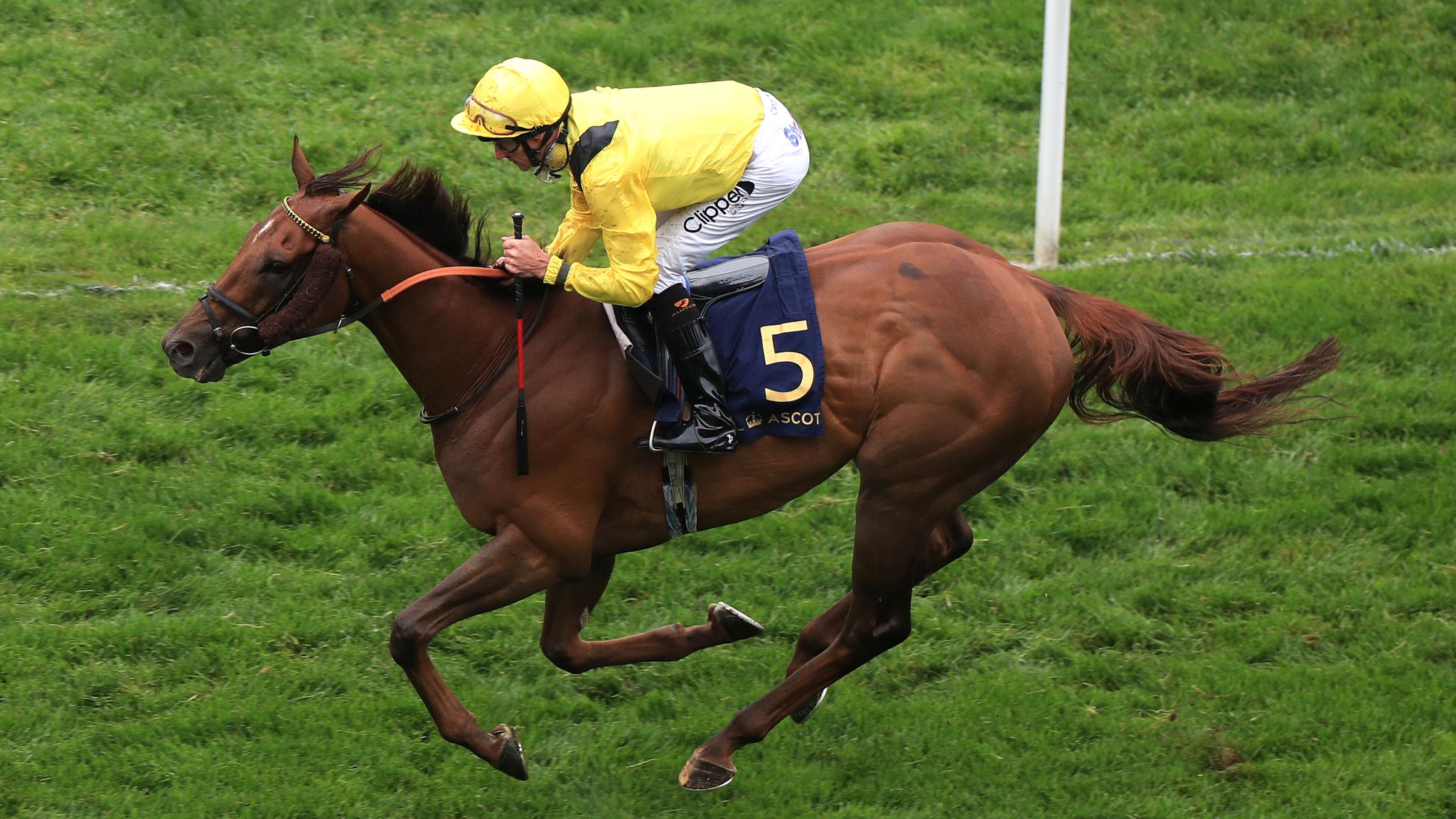 Group One winner Addeybb set to return to action in the summer for ...