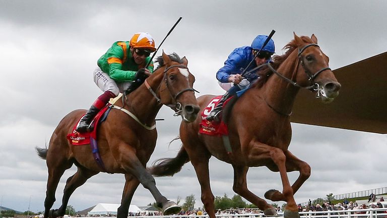 Lone Eagle (nearside) goes close to winning the Irish Derby