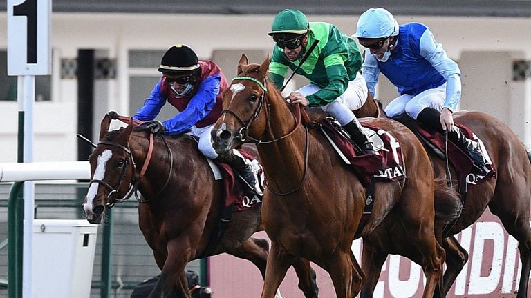 In Swoop (left) finished second in the 2020 Arc de Triomphe