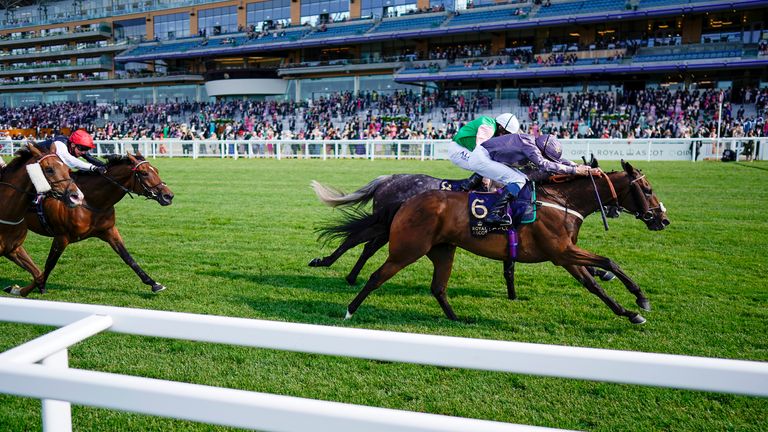 Reshoun edges a thrilling Ascot Stakes