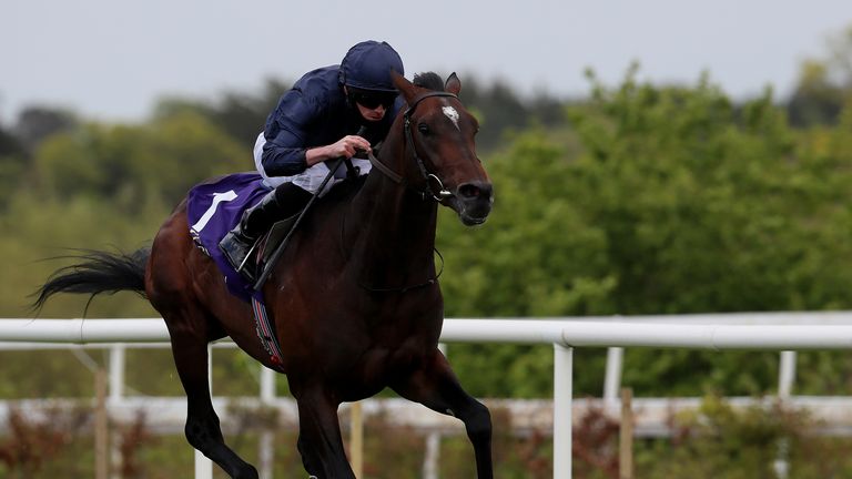 Bolshoi Ballet misses the Irish derby after suffering a cut