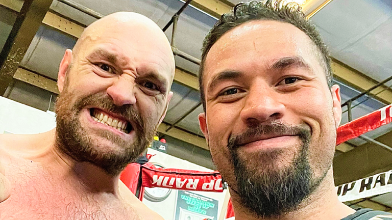 Tyson Fury, Joseph Parker