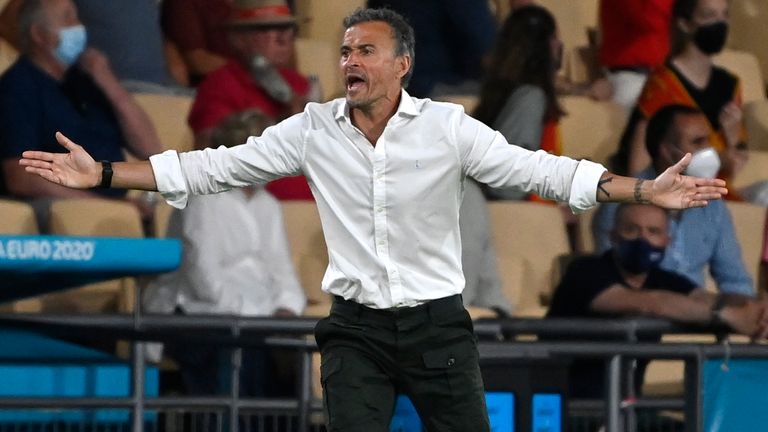 Luis ENrique cuts a frustrated figure during Spain's 0-0 draw with Sweden