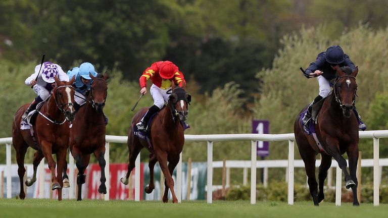 Mac Swiney, extremo izquierdo, llega a casa cuarto detrás del Bolshoi Ballet favorito del Derby en el Derrinstown Stud Derby Trial en Leopardstown