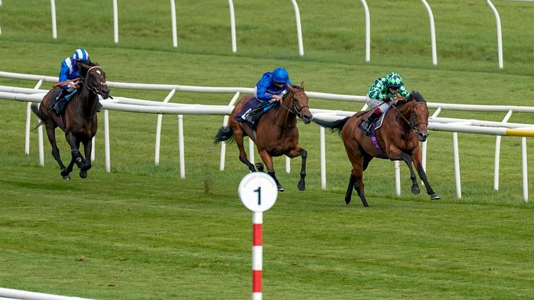 Matthew Flinders sprints away to win at Doncaster in September