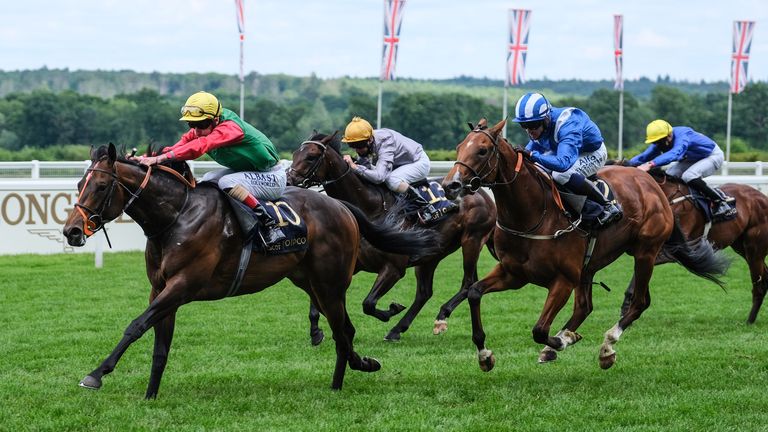 Cox's 150-1 Coventry Stakes winner Nando Parrado is set to return to Royal Ascot in the Jersey Stakes this year