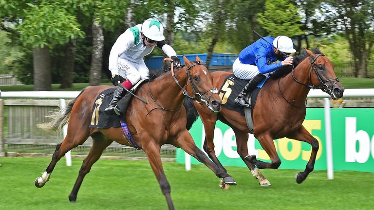 Naval Crown, in blue, is set to drop back in trip for the Jersey Stakes at Royal Ascot