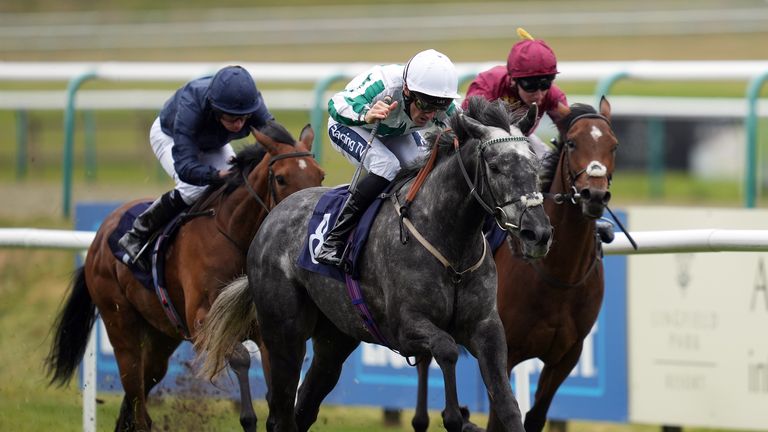 Ocean Road, left, was third behind Sherbet Lemon in the Oaks Trial Fillies' Stakes at Lingfield last month