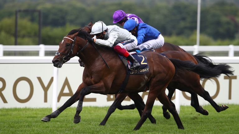 Palace Pier wins the St James&#39;s Palace Stakes at Royal Ascot in 2020