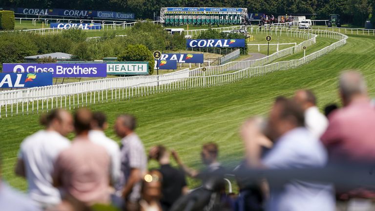 The ground at Sandown is a mixture of good to soft and soft after rain over the weekend