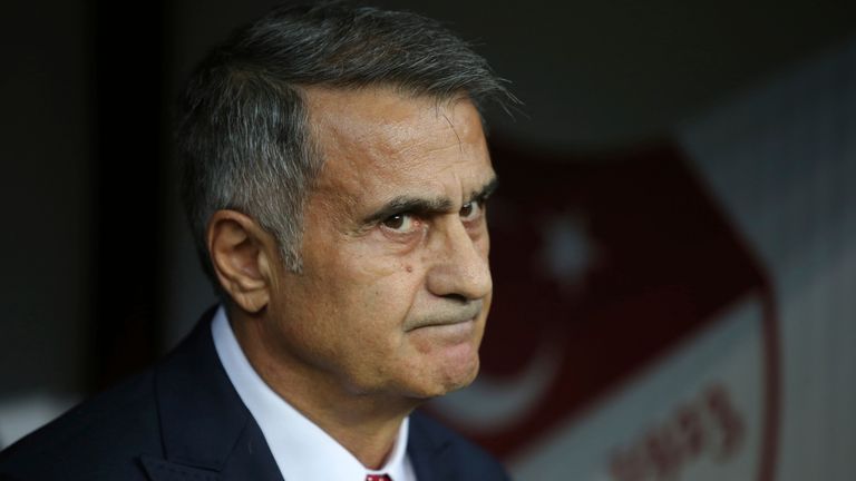 Turkey national team manager Senol Gunes