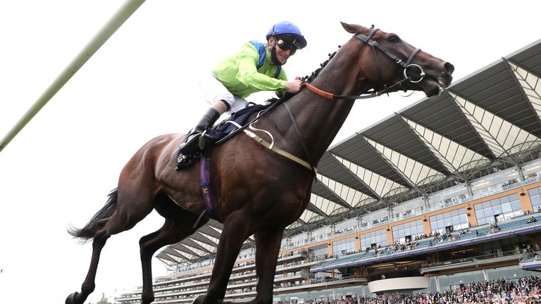 Subjectivist wins the Ascot Gold Cup