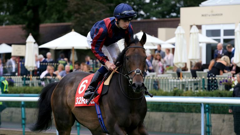 The Tin Man - undergone successful surgery