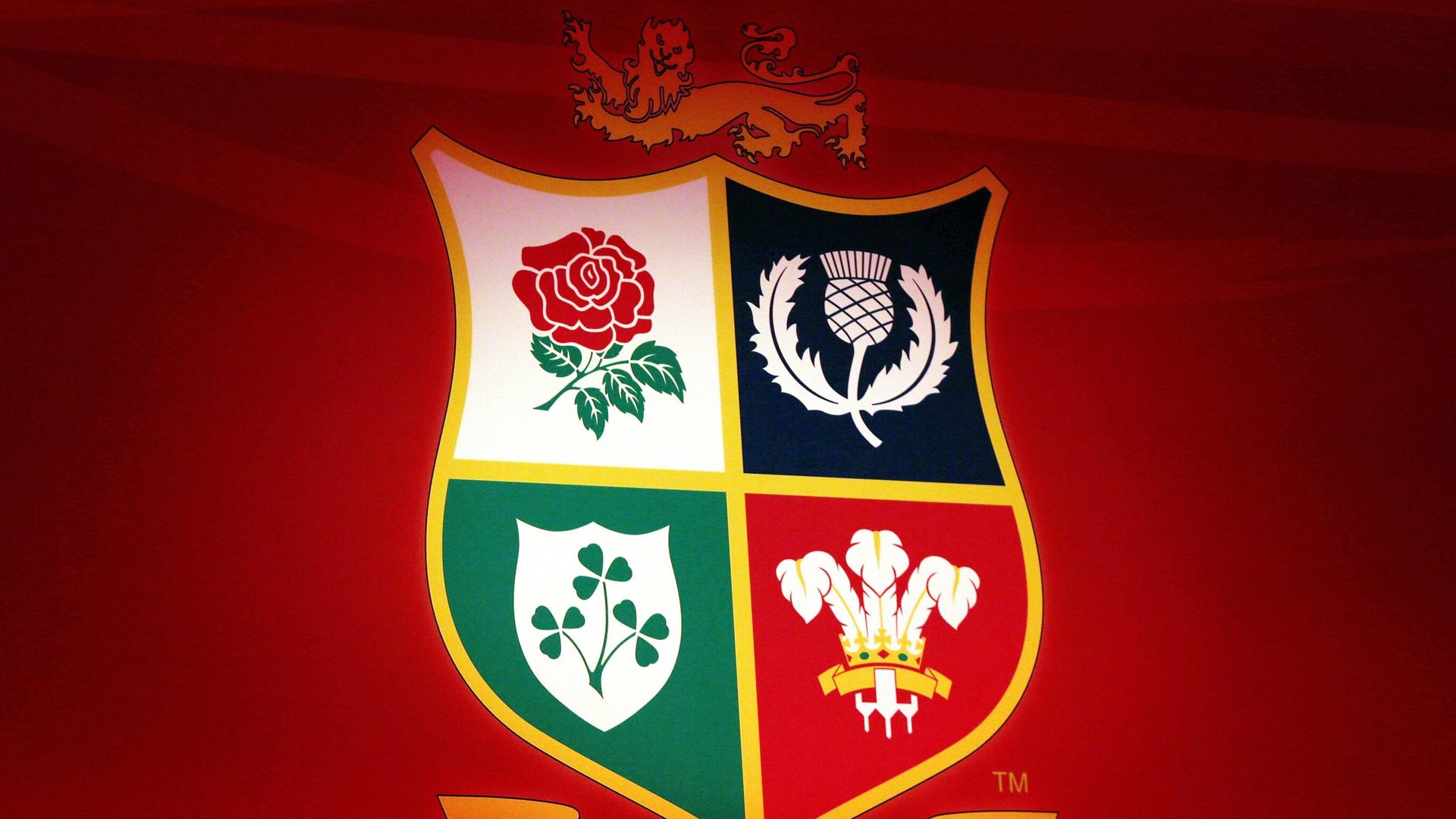 Feasibility group to look at forming Lions women's team