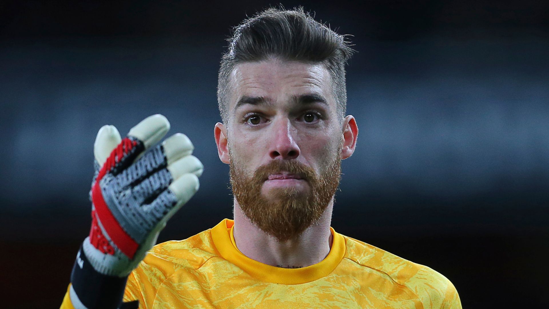 Wolves sign 'keeper Sa as Patricio replacement