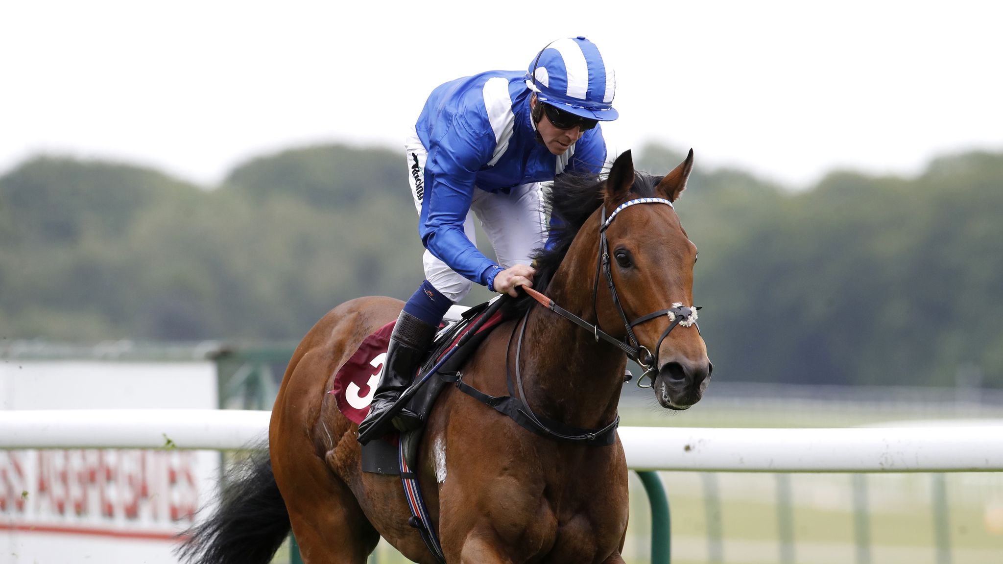 Brilliant Sprinter Battaash Retired By Connections After Goodwood Defeat Racing News Sky Sports