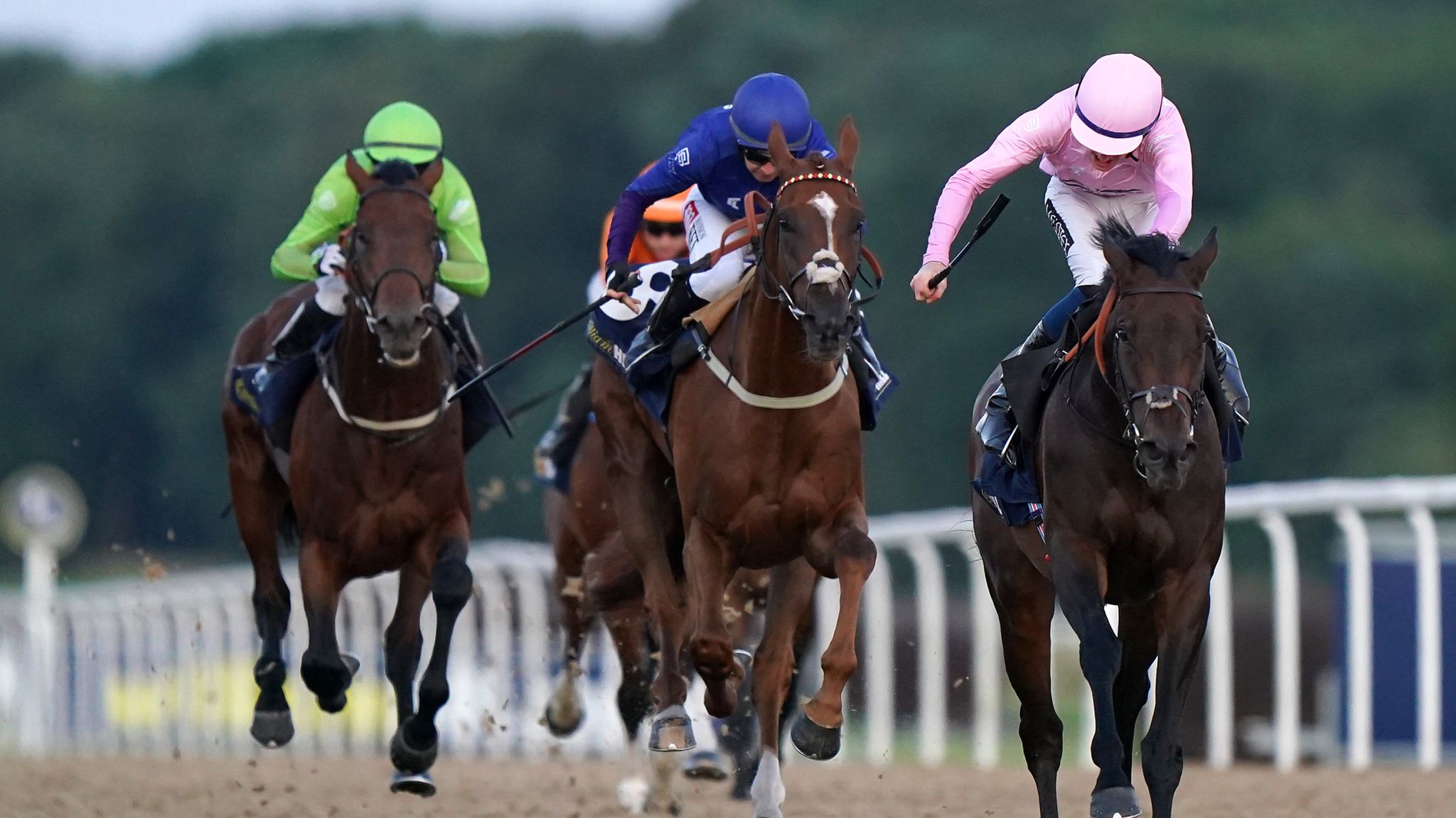 11+ Horse racing results on sky q best pedictions