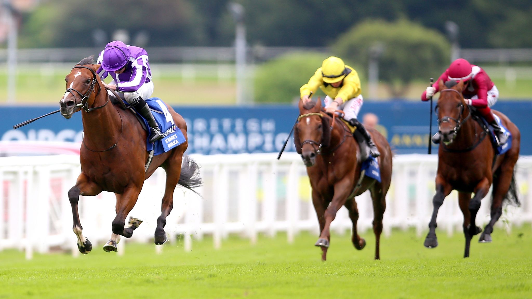 Irish Champion Stakes: St Mark's Basilica may fly flag alone Aidan O'Brien and Ballydoyle Leopardstown | Racing | Sky Sports